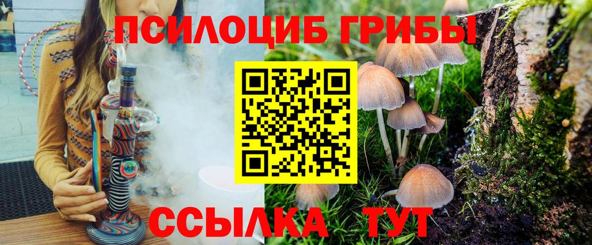 Псилоцибиновые грибы Psilocybe Анжеро-Судженск